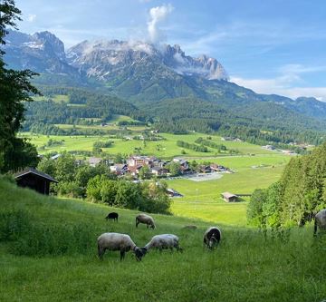 WhatsApp Image 2022-06-19 at 10.07.36 PM (5) 2