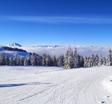 Blick zur hohen Salve nach Söll