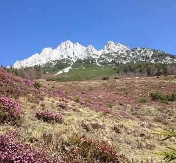 Frühling am Wilden Kaiser