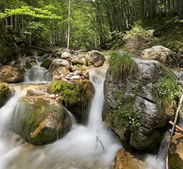 Frühling Spatlahner Klamm