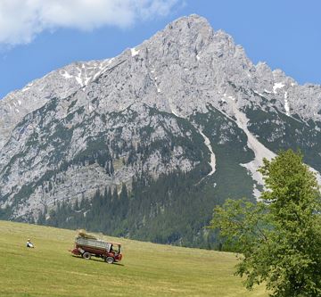 Ausblick Sommer 2