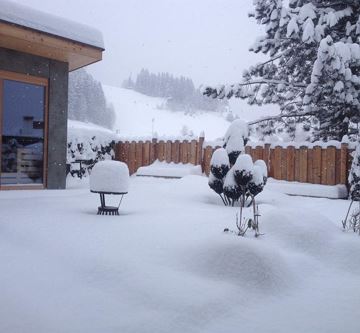 Garten im Winter