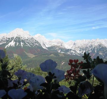 Ausblick vom Ferienhaus Kopp