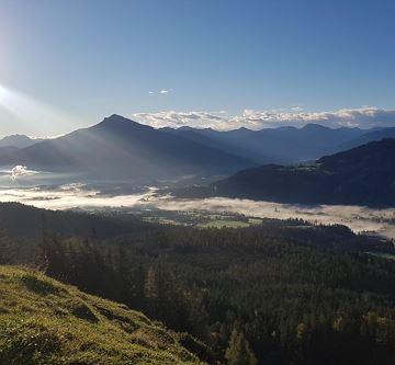 Blick aufs Kitzbüheler Horn von Biedringer Platte