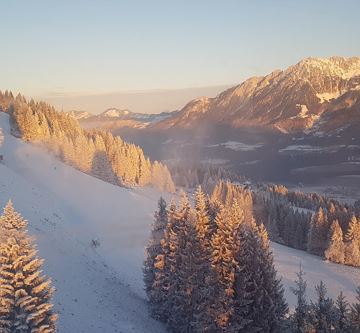 Blick von der Gondel Hartkaiserbahn