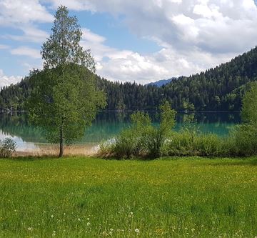 Hintersteinersee