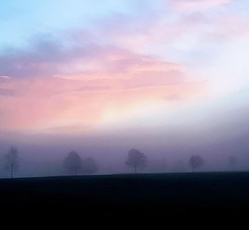 Morgenstimmung Golfplatz