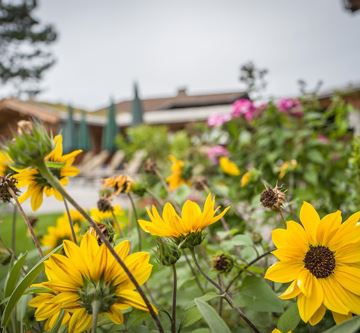 Alpenpension-Claudia_Flora's Garten