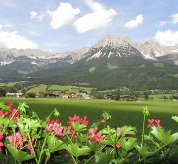 Ausblick vom Balkon