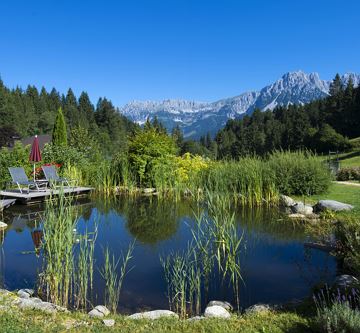 Biotop mit Ausblick