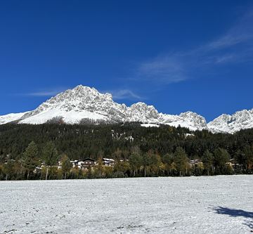 IMG_2492
