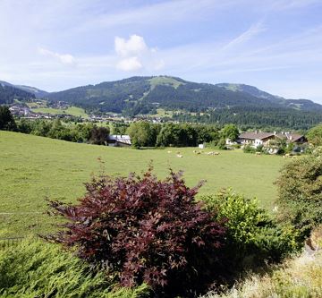 Dorfblick Terrasse