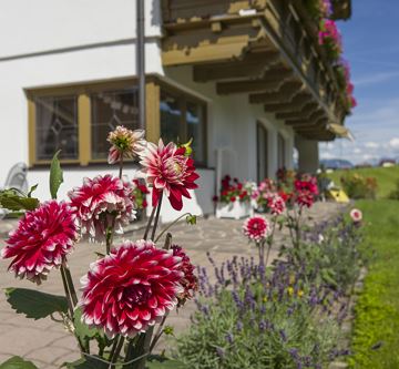 Ferienwohnung Blume