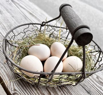 Eier unserer Bayrischen Landzwerge