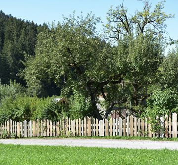 Spielplatz und Spielwiese