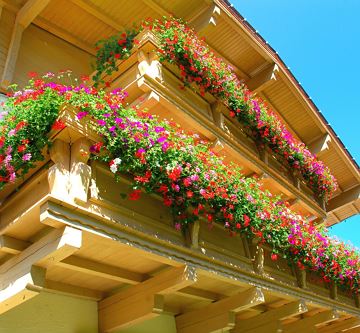 balcon-geranium-tyrol-hotel