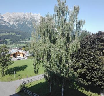 Ausblick Schlafzimmer 2