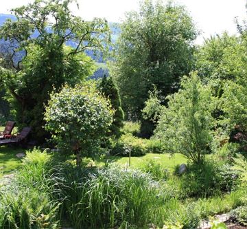 Gartenausblick vom Stiegenabgang