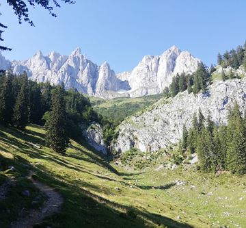 WILDER Kaiser 1 