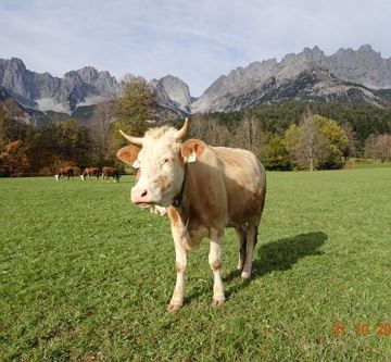 Appartement Murmele Herbsstimmung