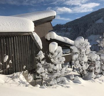 Winter2019