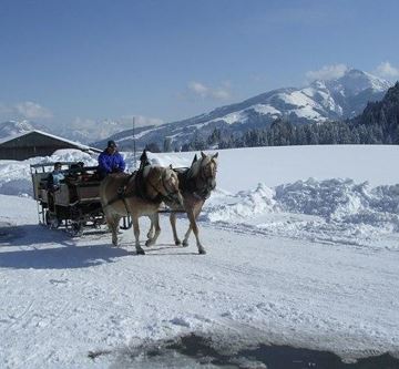 Winterkutschenfahrt