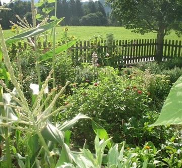 Unser Bauerngarten