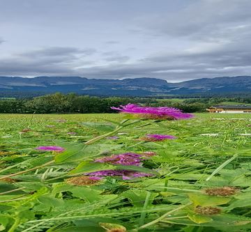 Blick vom Astberglift
