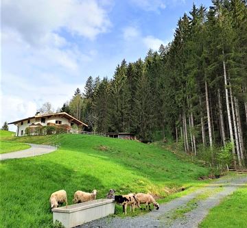 Ferienhaus Hansl Sommer