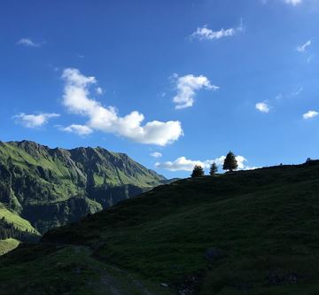IMG_6075