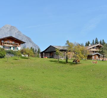 Zimmer-Gauxbauer-Going-Astbergweg-38-Cilli-Brandst