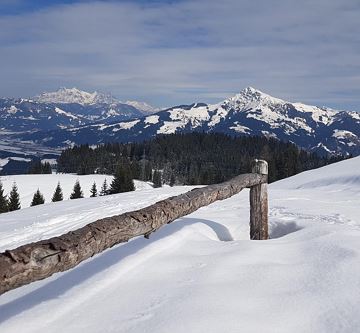 Aussicht der eigenen Alm aufs 