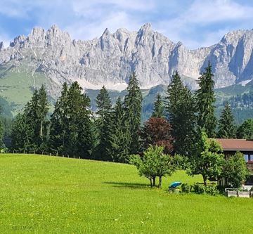 Haidhof im Juni
