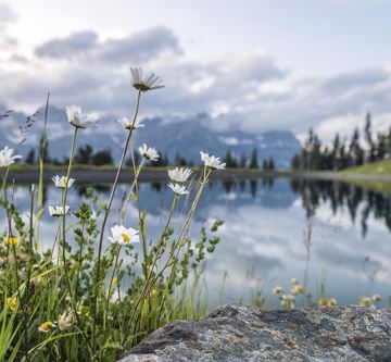 Going_Astbergsee_Sommer_2013_Peter_Felbert (5)