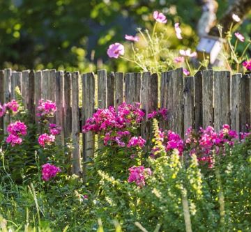 blumen-holzzaun_wilder-kaiser_foto-peter-von-felbe