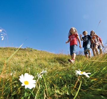 wandern_familie_hartkaiser_margeriten_3