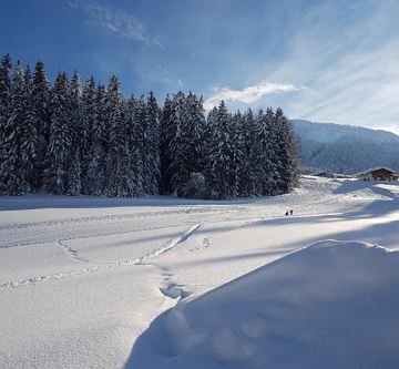2019 Blick zur Piste