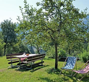 Bauernhof-Seebachhof-Seebach-35-Scheffau-Garten