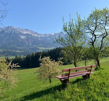 Bauernhof Baumgartenhof - Andrea Bichler