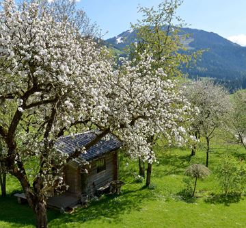 Bauernhof Niederscheffau - Fam. Werlberger