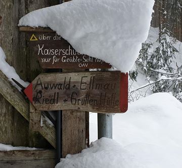 Wegweiser Auwald_Schnee