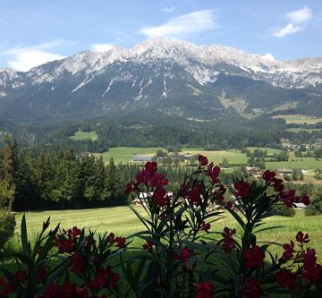 Ausblick auf den Wilden Kaiser