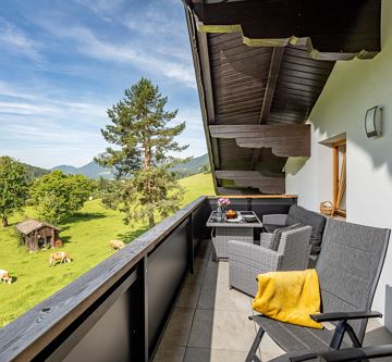 Haus_Lintner_Niederachen_20_Scheffau_Balkon_Aussic