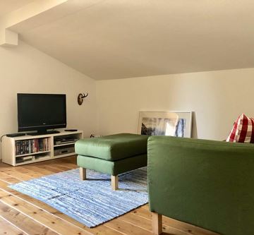 GRÜN Wohnzimmer/ GREEN living room 1