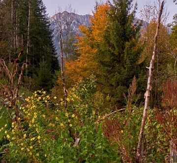 herbst-garten