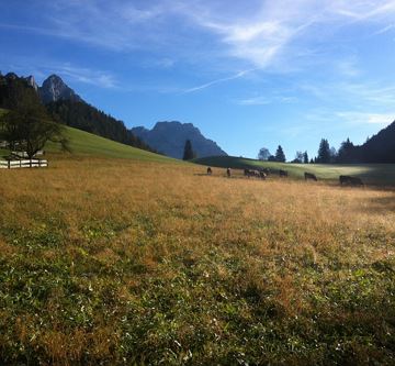 Hagenhof_Herbst