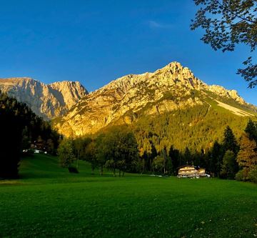 Blick auf Treffauer