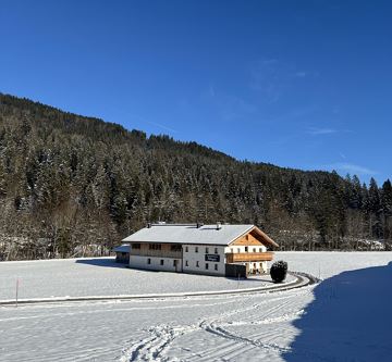 IMG_2349