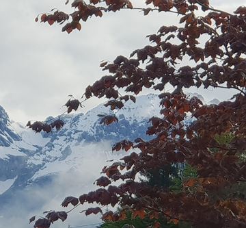 Frühsommer Wilder Kaiser