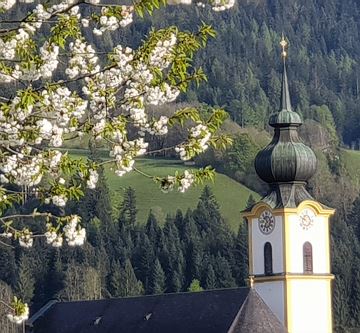 Söll im Frühjahr